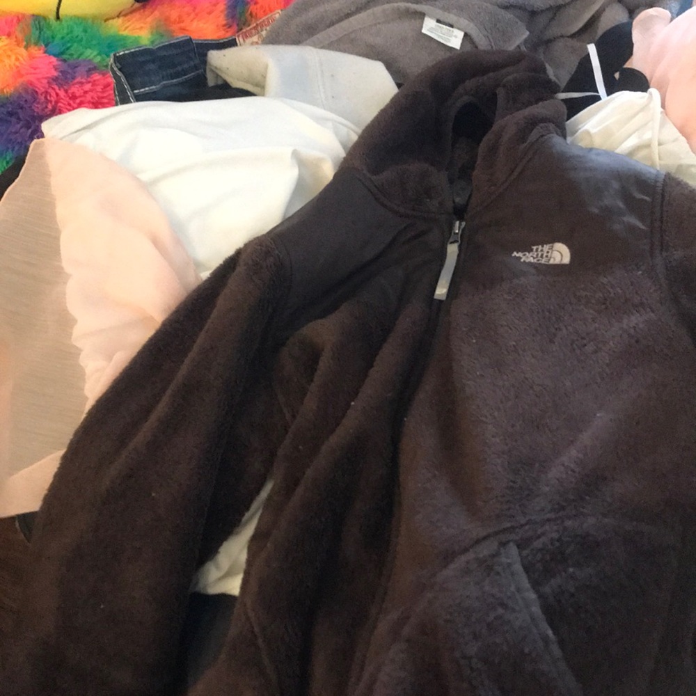 Brown north face
